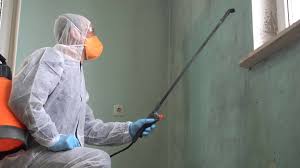 Why You Should Choose Our Mold Remediation Services in Costa Mesa, CA