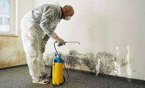 Best Residential Mold Inspection & Testing in Costa Mesa, CA