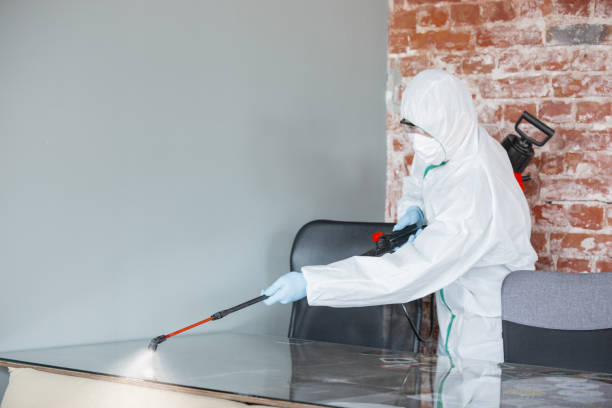 Best Mold Prevention Services in Costa Mesa, CA